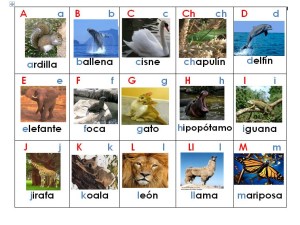 AbcedarioAnimales
