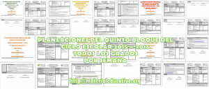 Planeaciones5ToBloque