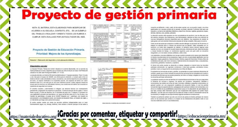 Proyecto de gestión para educación primaria | Material Educativo