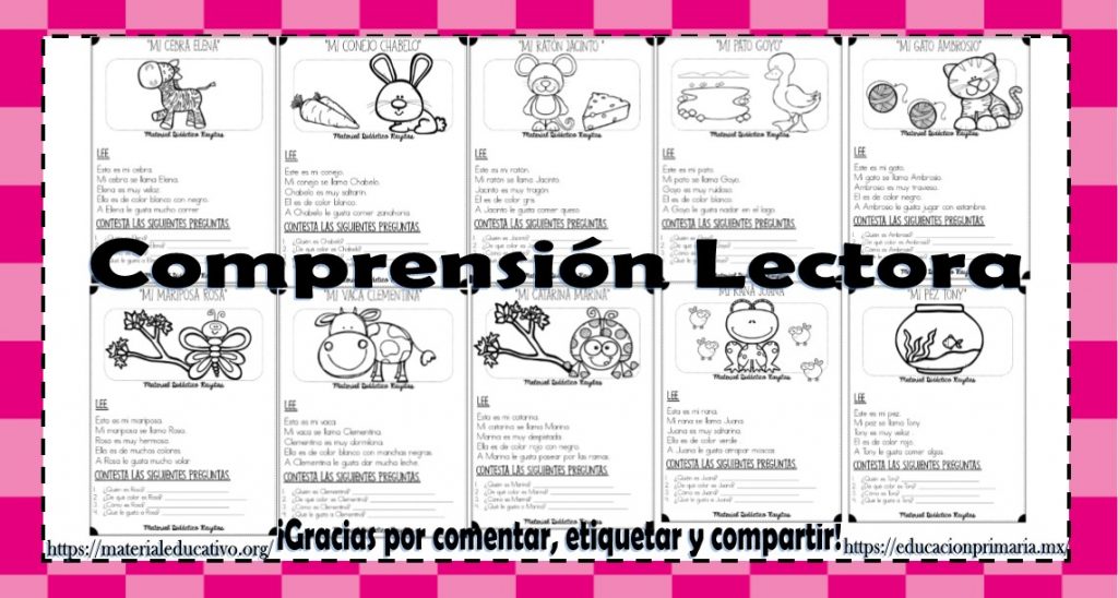 Excelentes lecturas cortas para desarrollar la comprensión lectora de ...