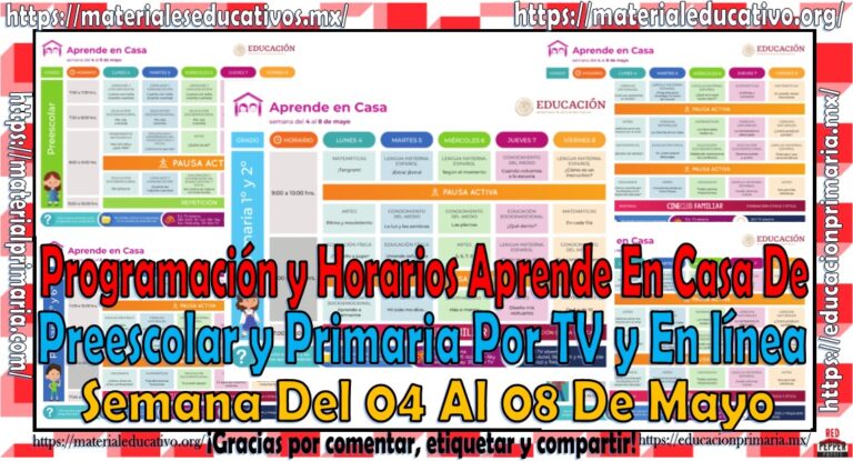 Programacion Escolar ProgramacionPreescoPrimaria04-08 | Material Educativo