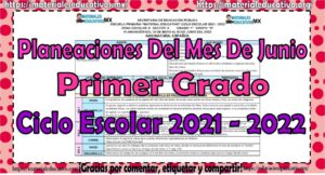 Planeaciones del primer grado de primaria del mes de junio del ciclo ...
