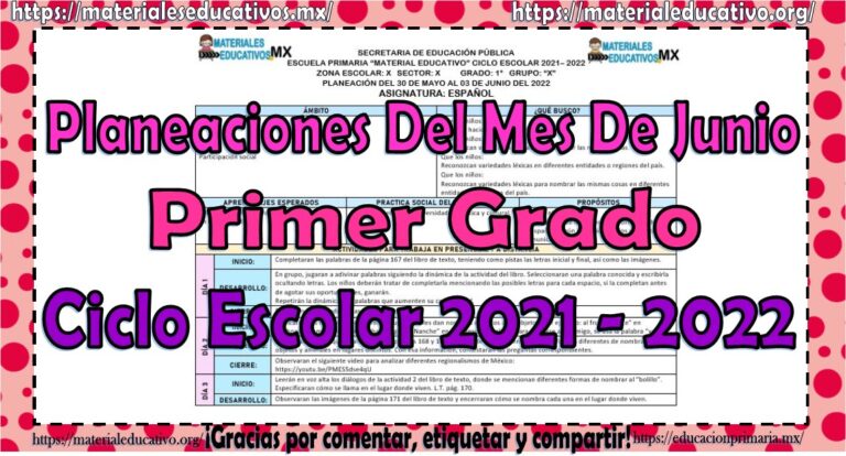 Planeaciones del primer grado de primaria del mes de junio del ciclo ...
