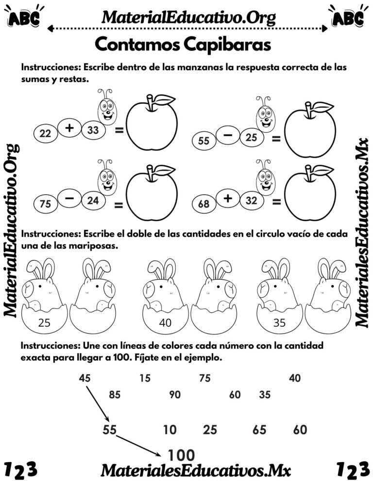 Capibara matemático del segundo grado de primaria | Material Educativo