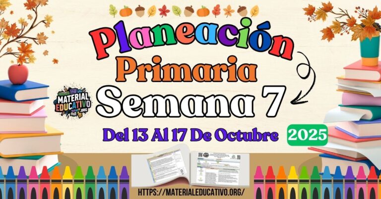 Planeación didáctica por proyectos de todos los grados de primaria ...